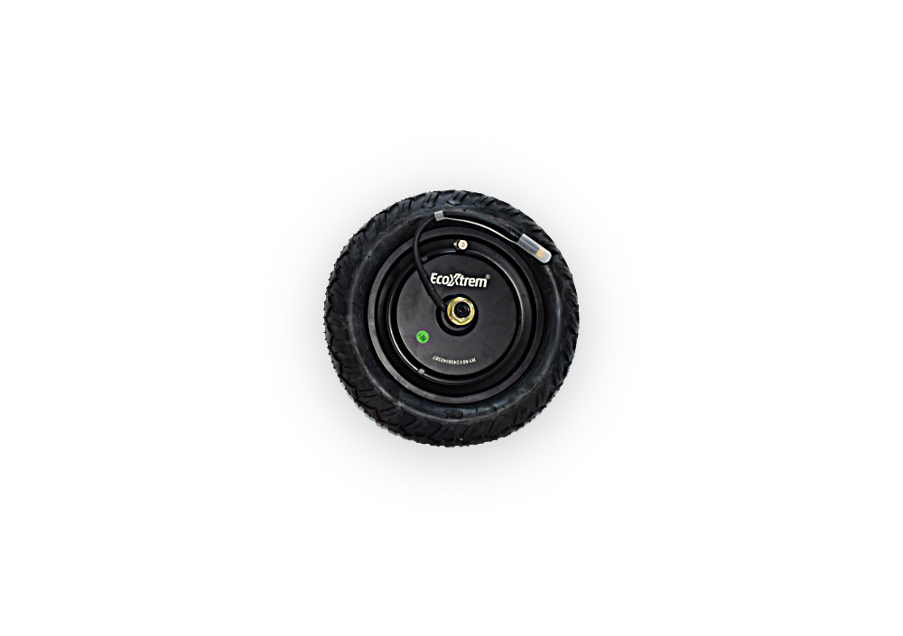 Moteur 800W BISON